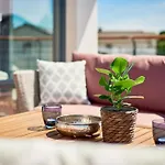 In By Interhome Ferienhaus *